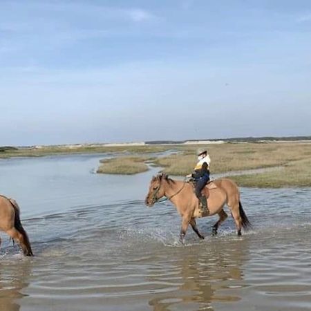 Fort-Mahon : Superbe T2 A 2 Pas De La Plage Avec Parking Prive - Fr-1-482-15 Eksteriør bilde