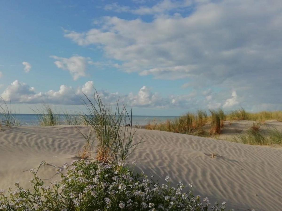 Fort-Mahon : Superbe T2 A 2 Pas De La Plage Avec Parking Prive - Fr-1-482-15 Eksteriør bilde