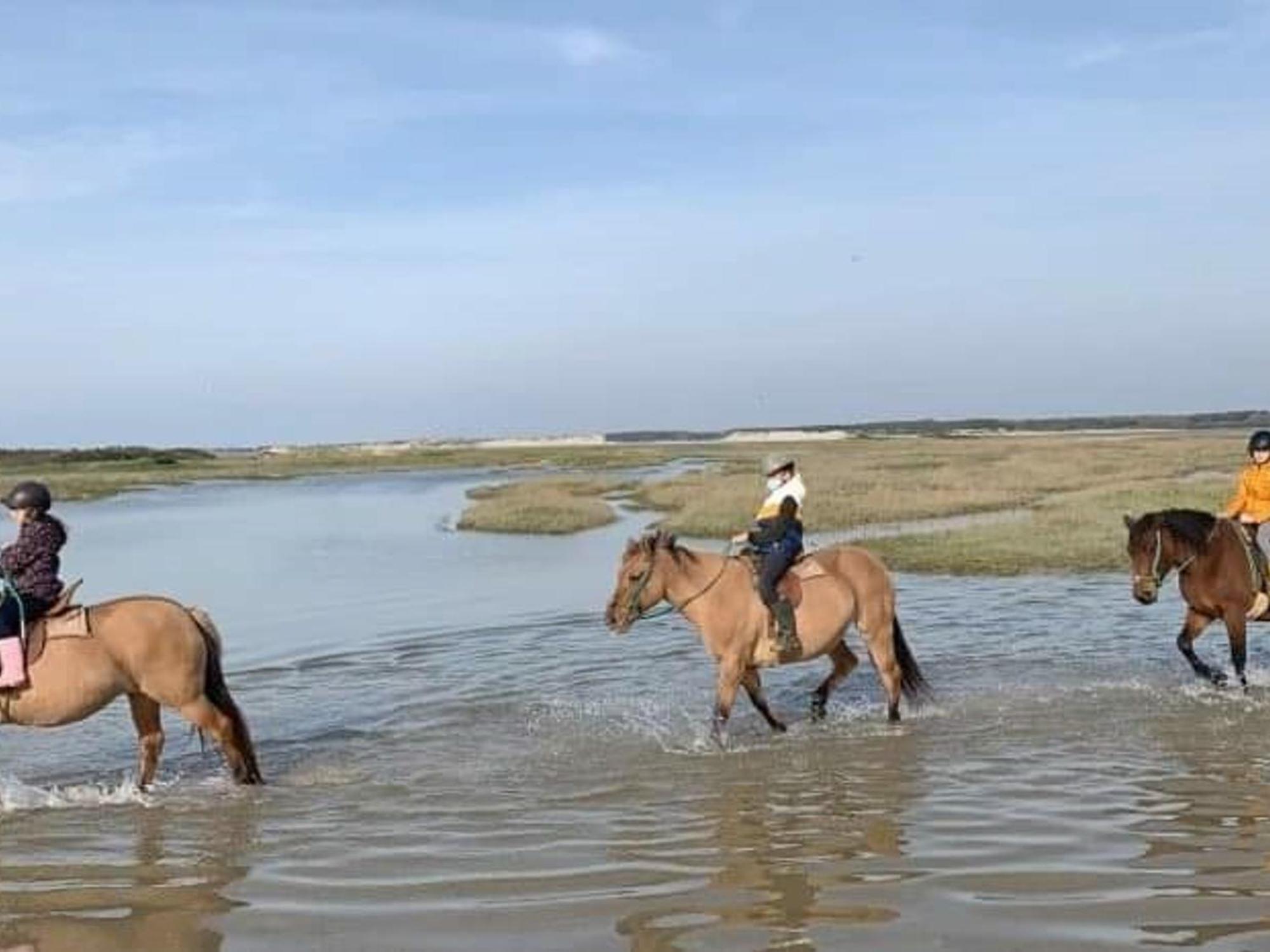 Fort-Mahon : Superbe T2 A 2 Pas De La Plage Avec Parking Prive - Fr-1-482-15 Eksteriør bilde